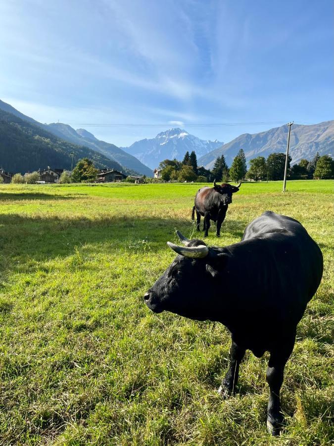 Appartamento Casa Dei Ciliegi Morgex Esterno foto